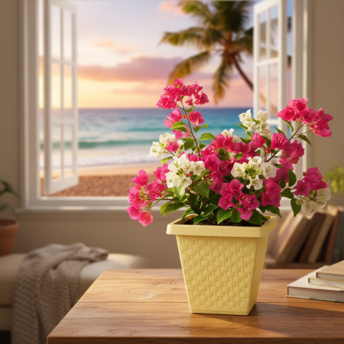 Maceta cuadrada rattan crema - Todolandia