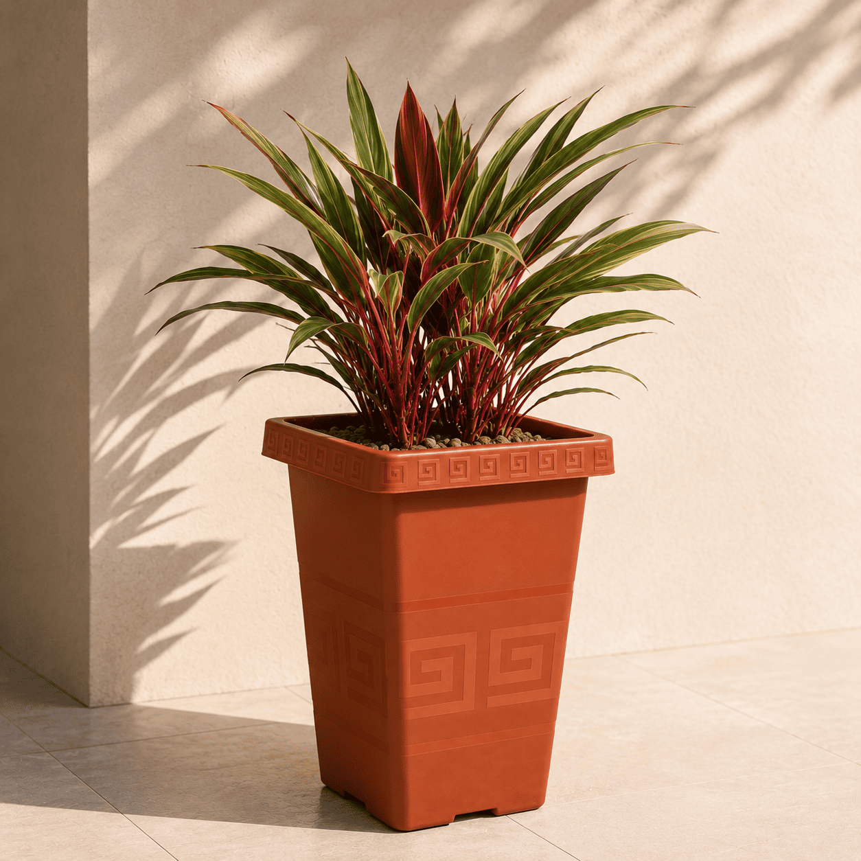 Plantas ornamentales
